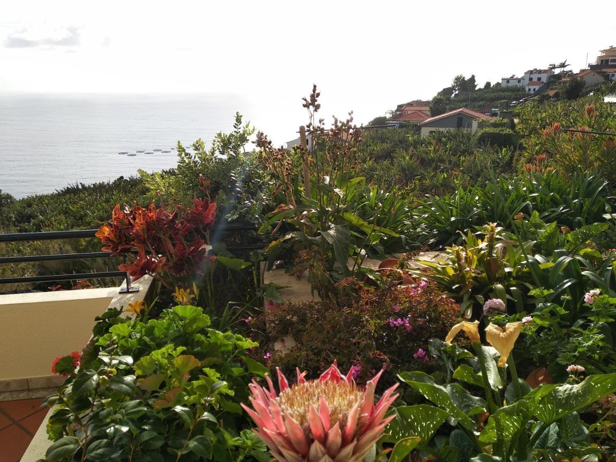 Jardim Do Arco "Esmee" Apartment Arco da Calheta  Luaran gambar