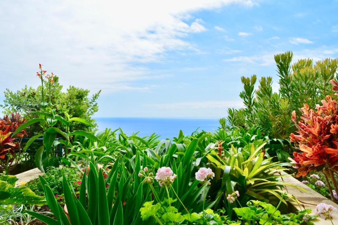 Jardim Do Arco "Esmee" Apartment Arco da Calheta  Luaran gambar