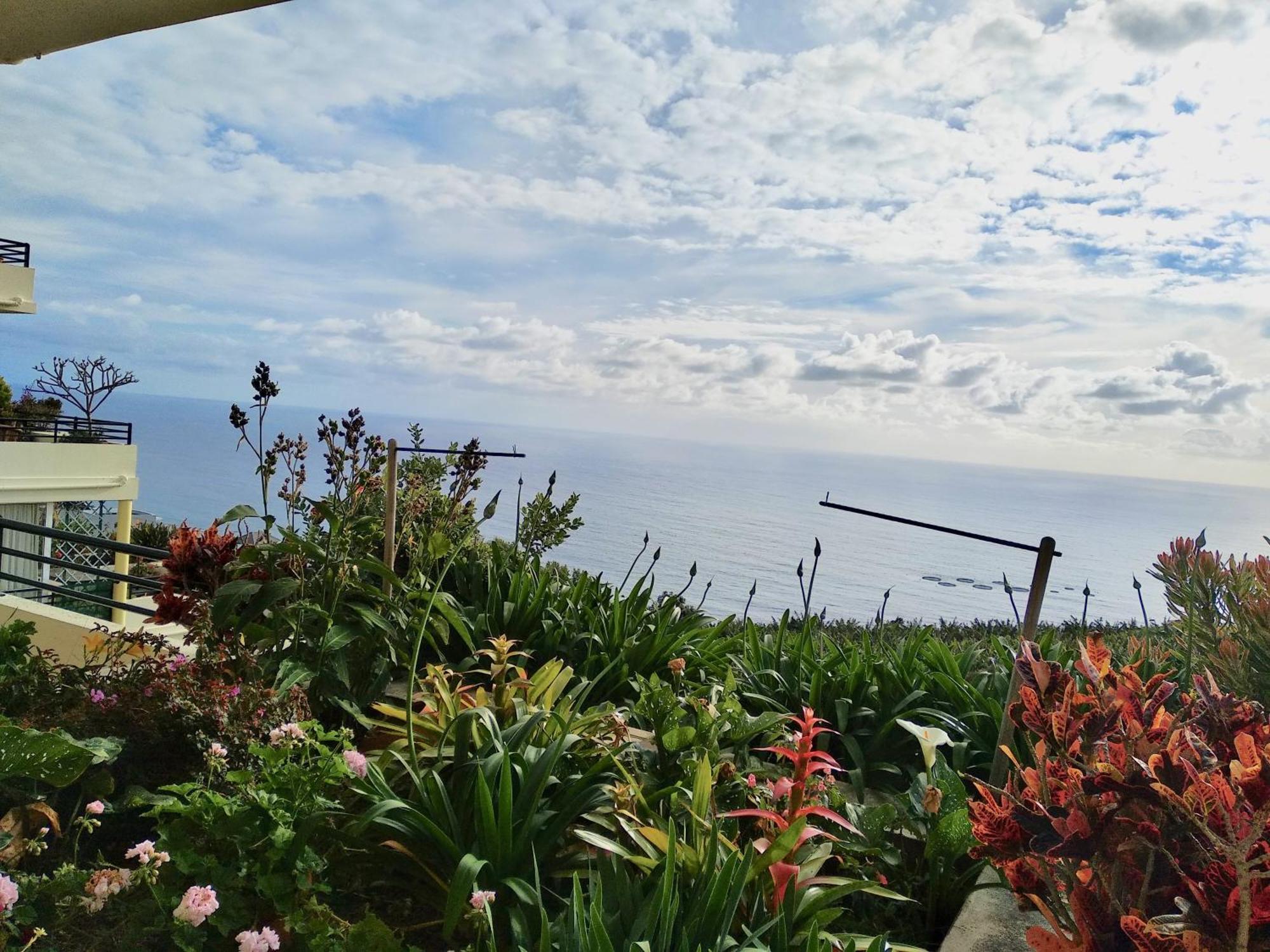 Jardim Do Arco "Esmee" Apartment Arco da Calheta  Luaran gambar