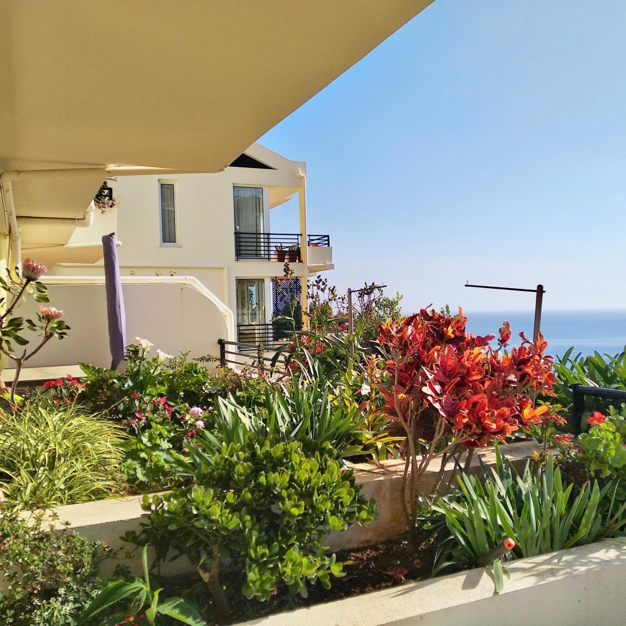Jardim Do Arco "Esmee" Apartment Arco da Calheta  Luaran gambar